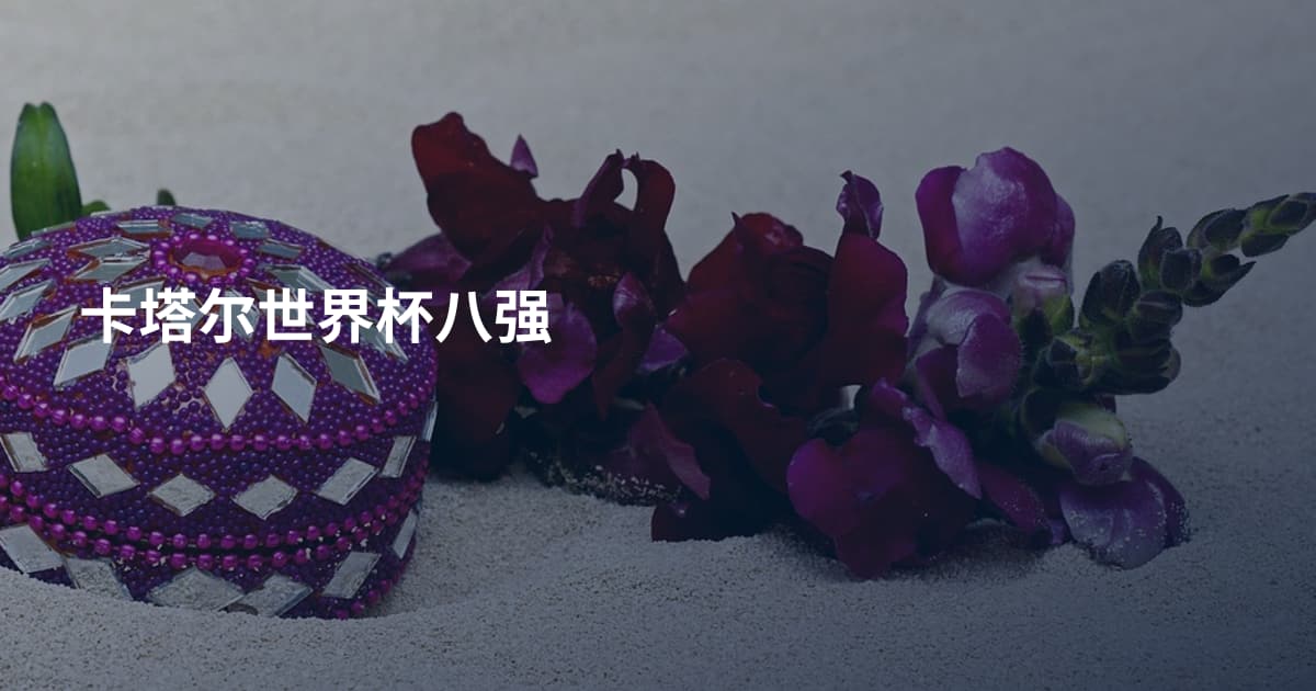 卡塔尔世界杯八强