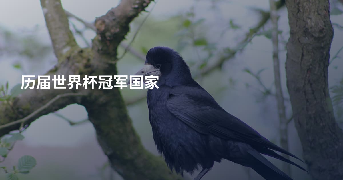 历届世界杯冠军国家
