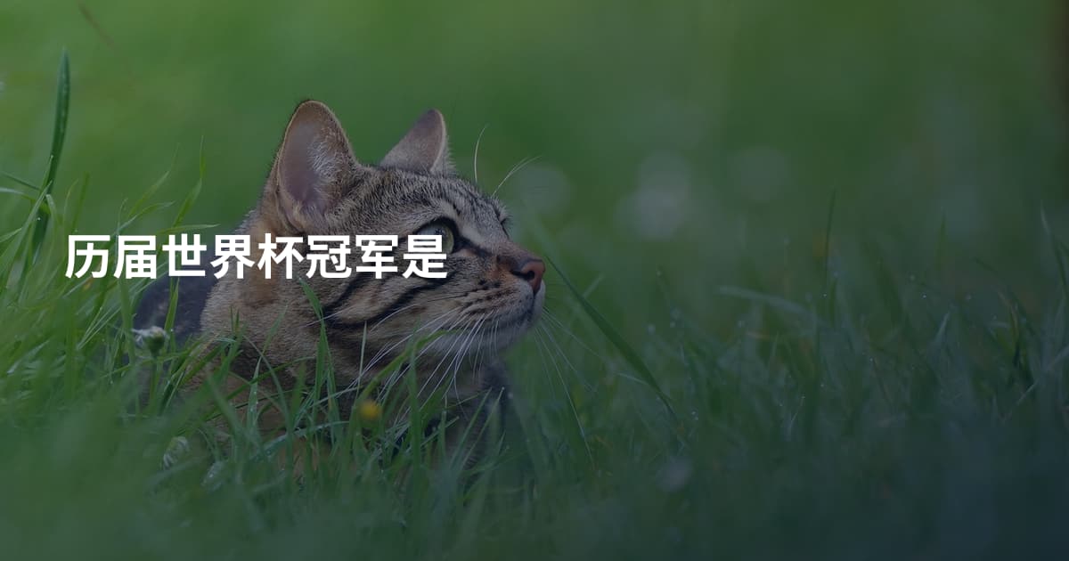 历届世界杯冠军是