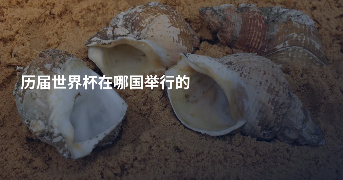 历届世界杯在哪国举行的