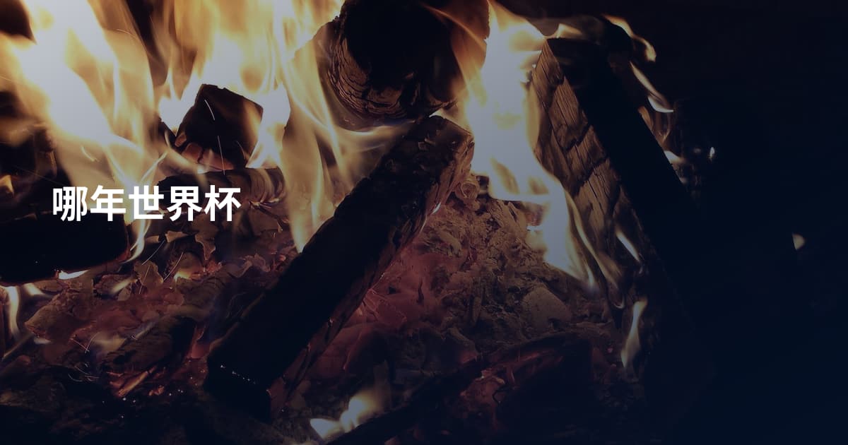 哪年世界杯