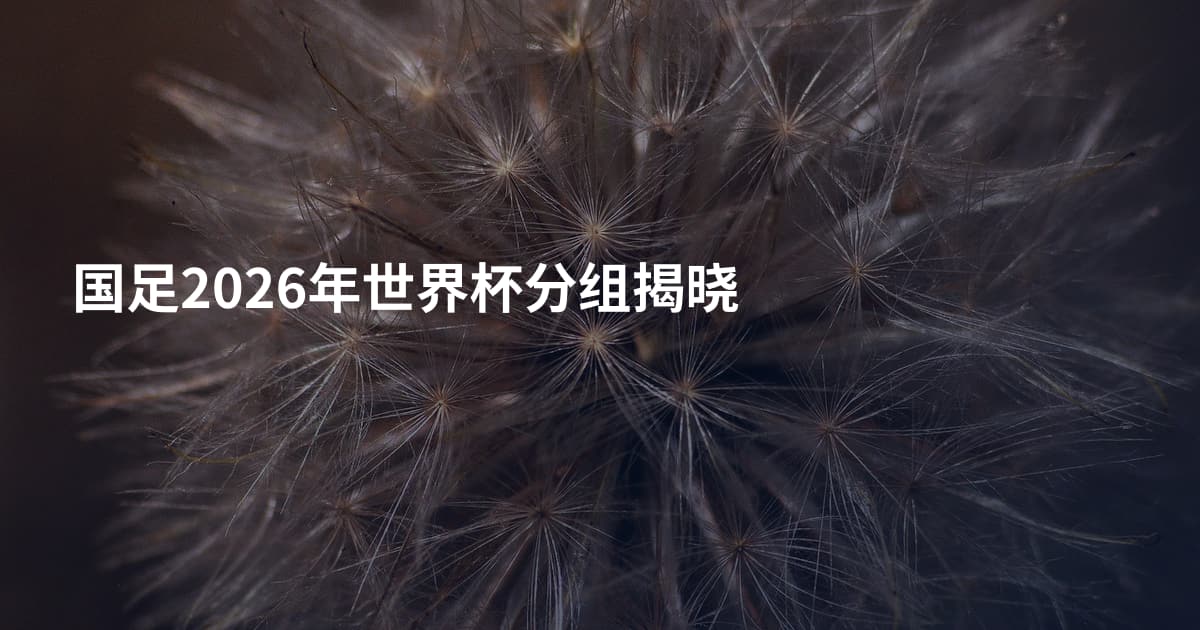 国足2026年世界杯分组揭晓