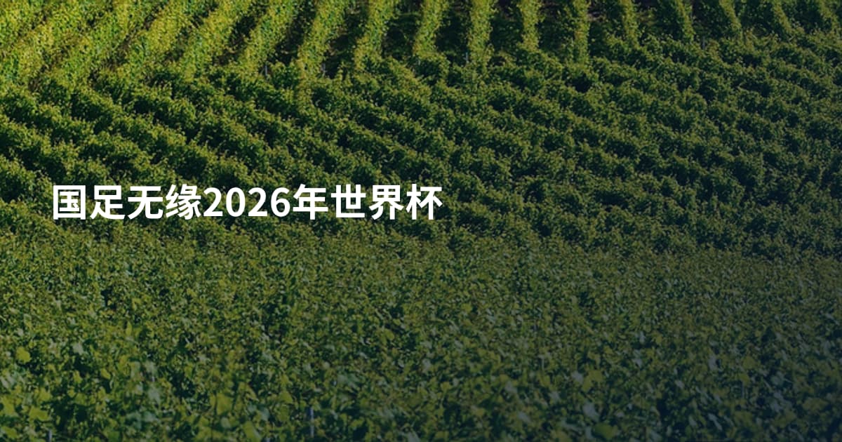 国足无缘2026年世界杯