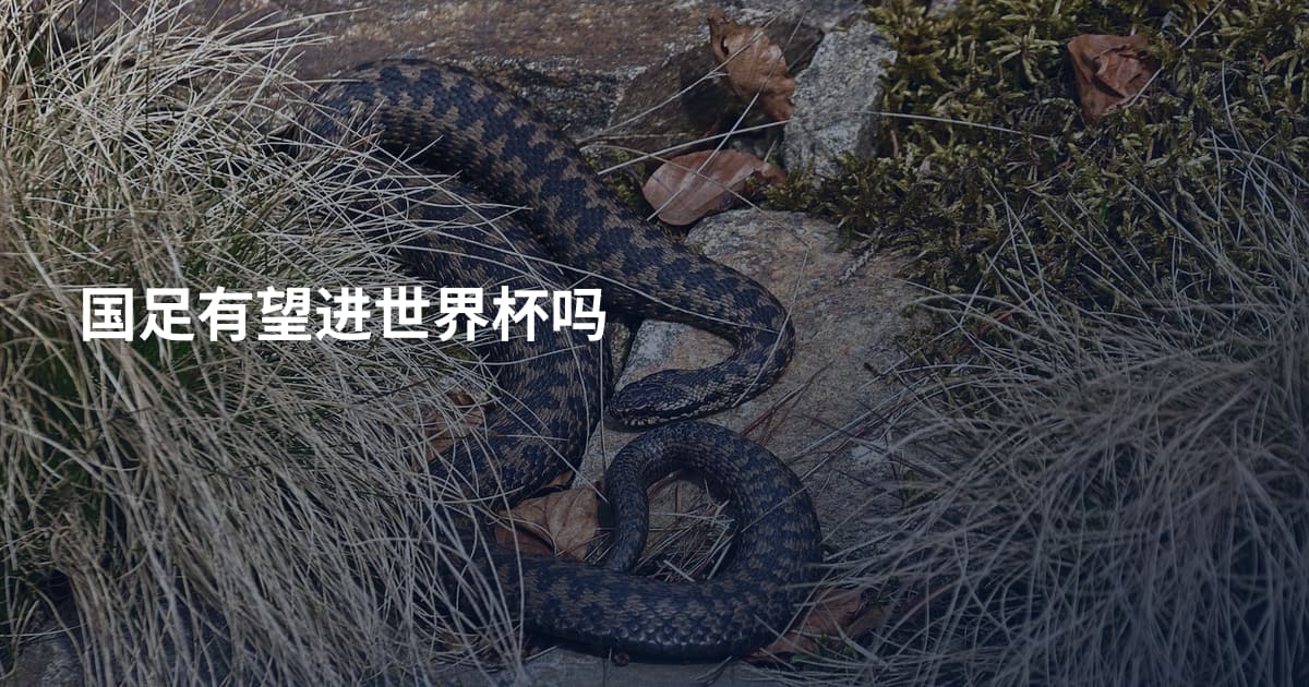 国足有望进世界杯吗