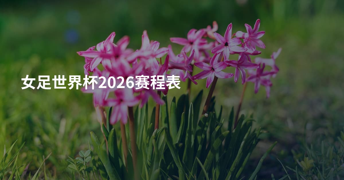 女足世界杯2026赛程表