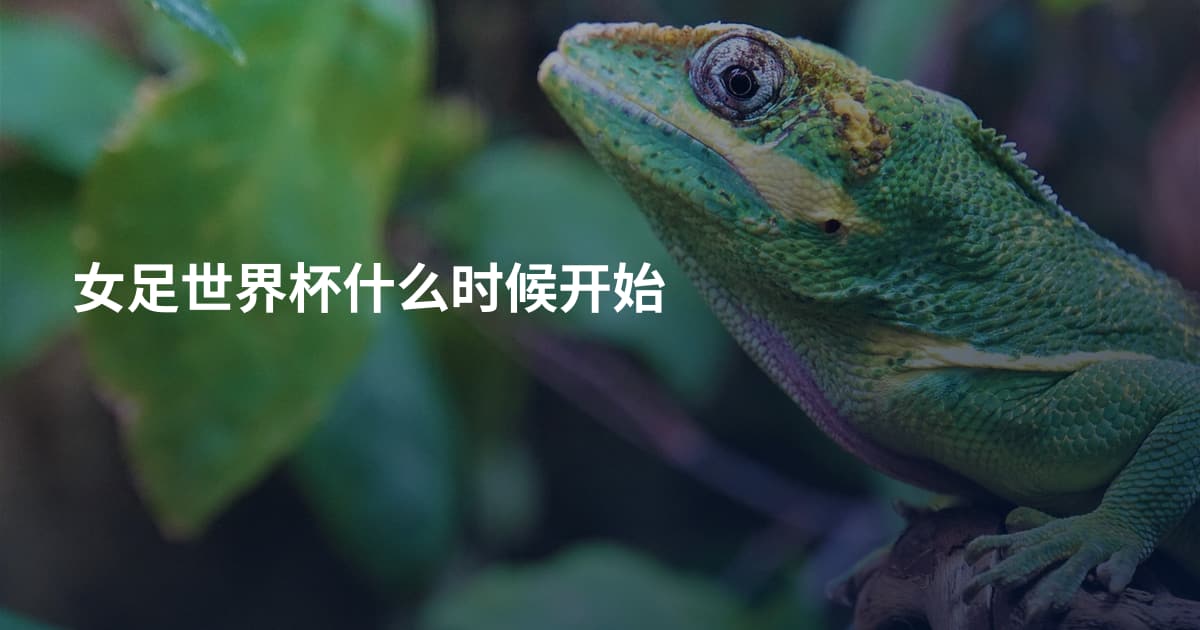 女足世界杯什么时候开始