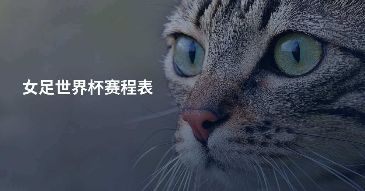 女足世界杯赛程表
