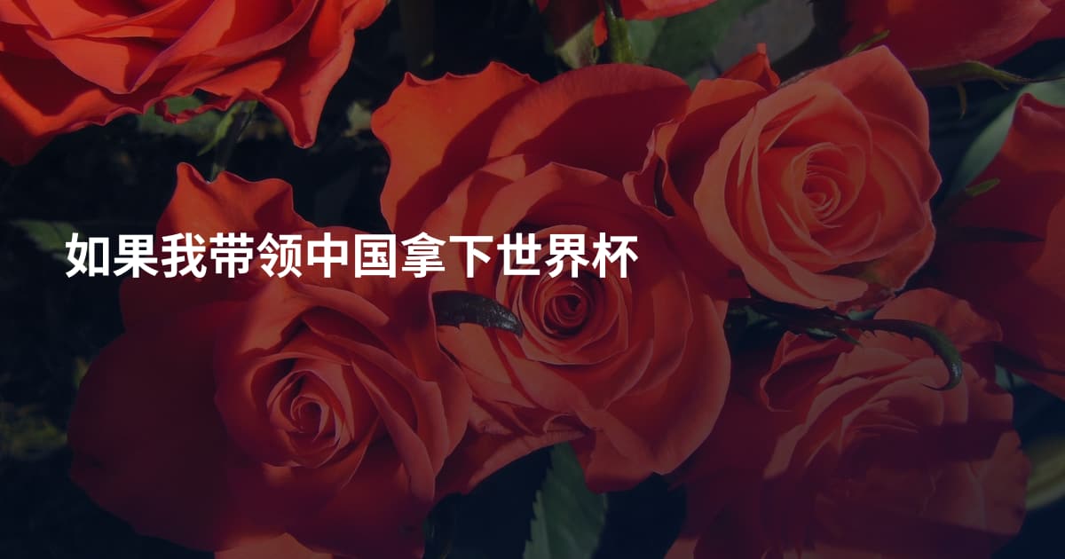 如果我带领中国拿下世界杯