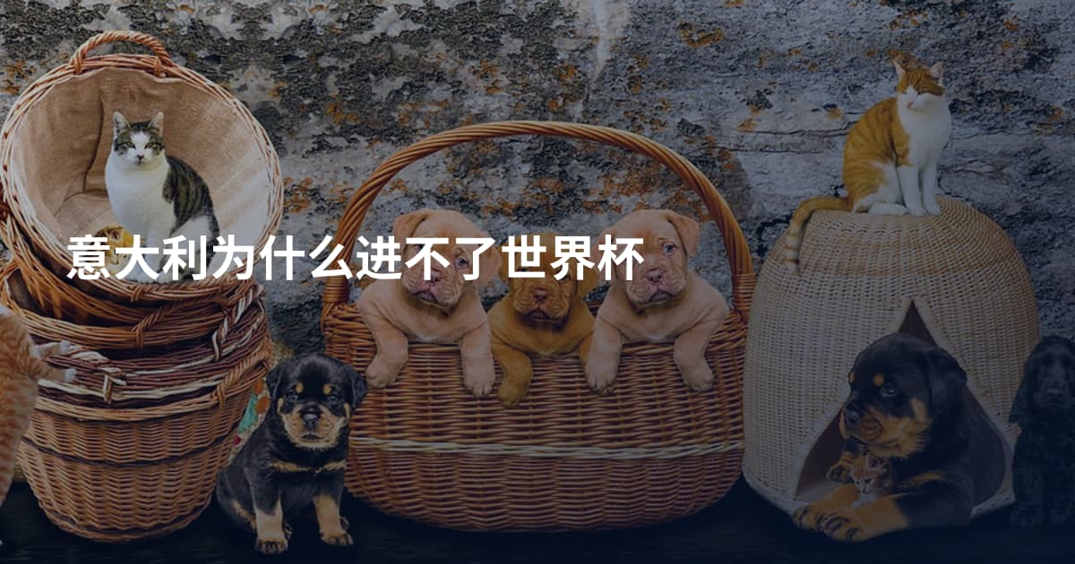意大利为什么进不了世界杯