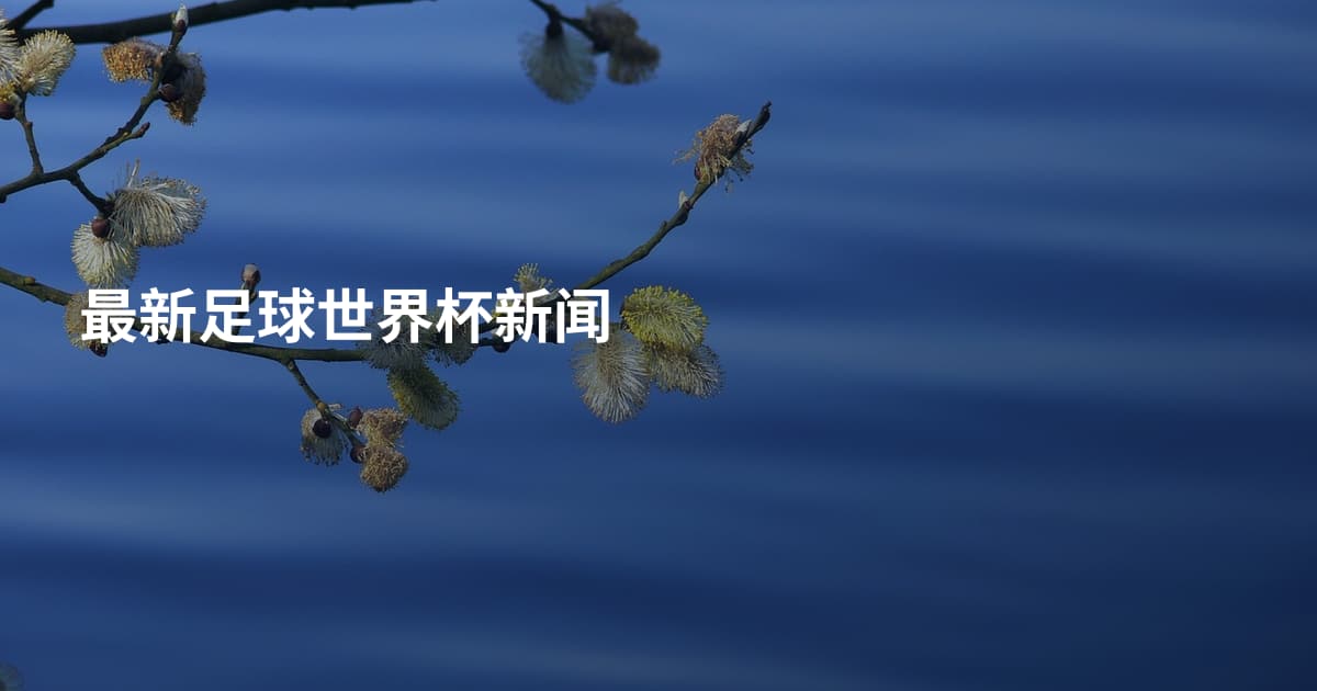 最新足球世界杯新闻