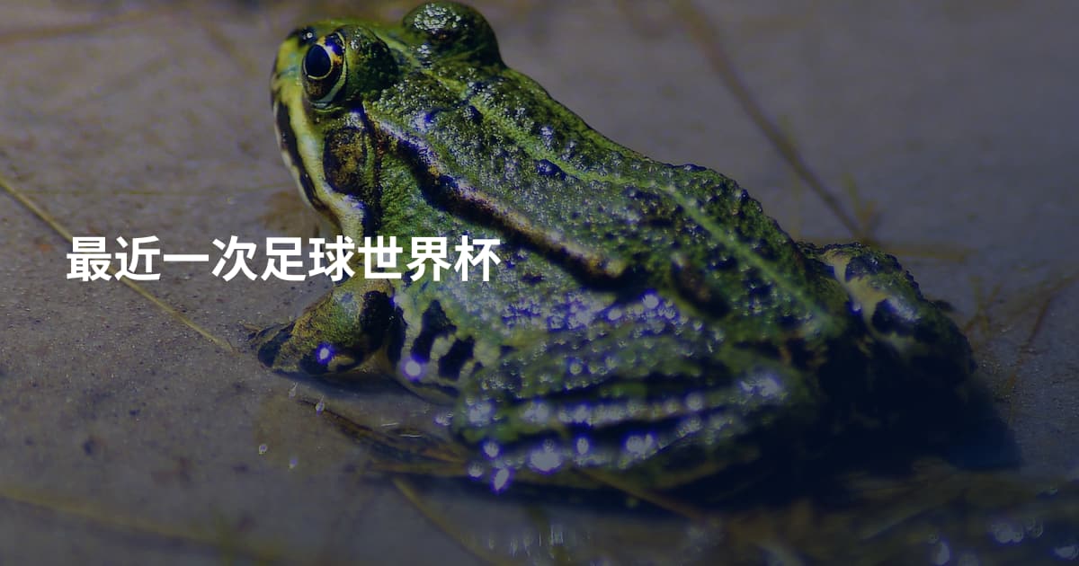 最近一次足球世界杯