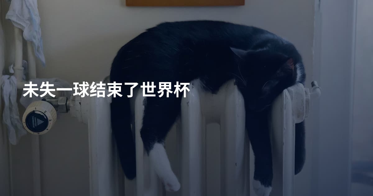 未失一球结束了世界杯