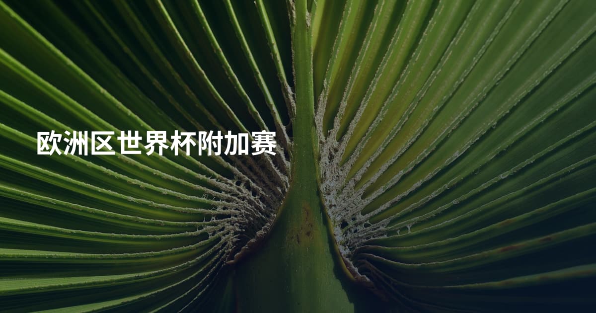 欧洲区世界杯附加赛