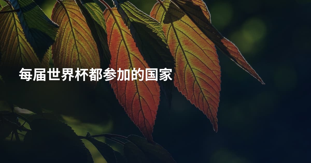 每届世界杯都参加的国家