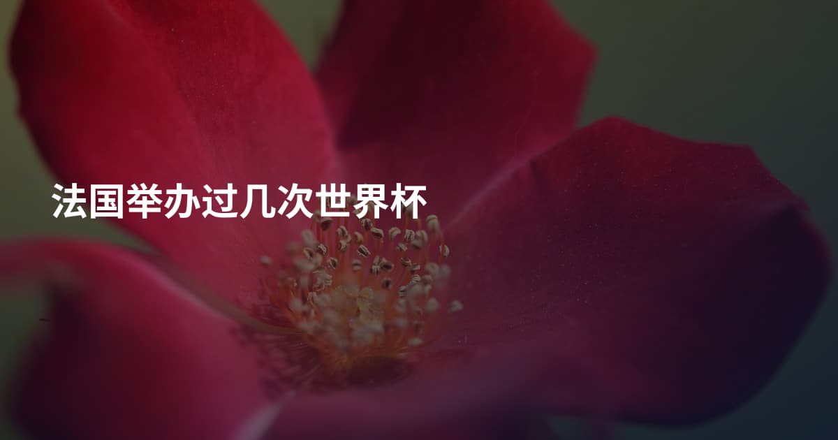 法国举办过几次世界杯