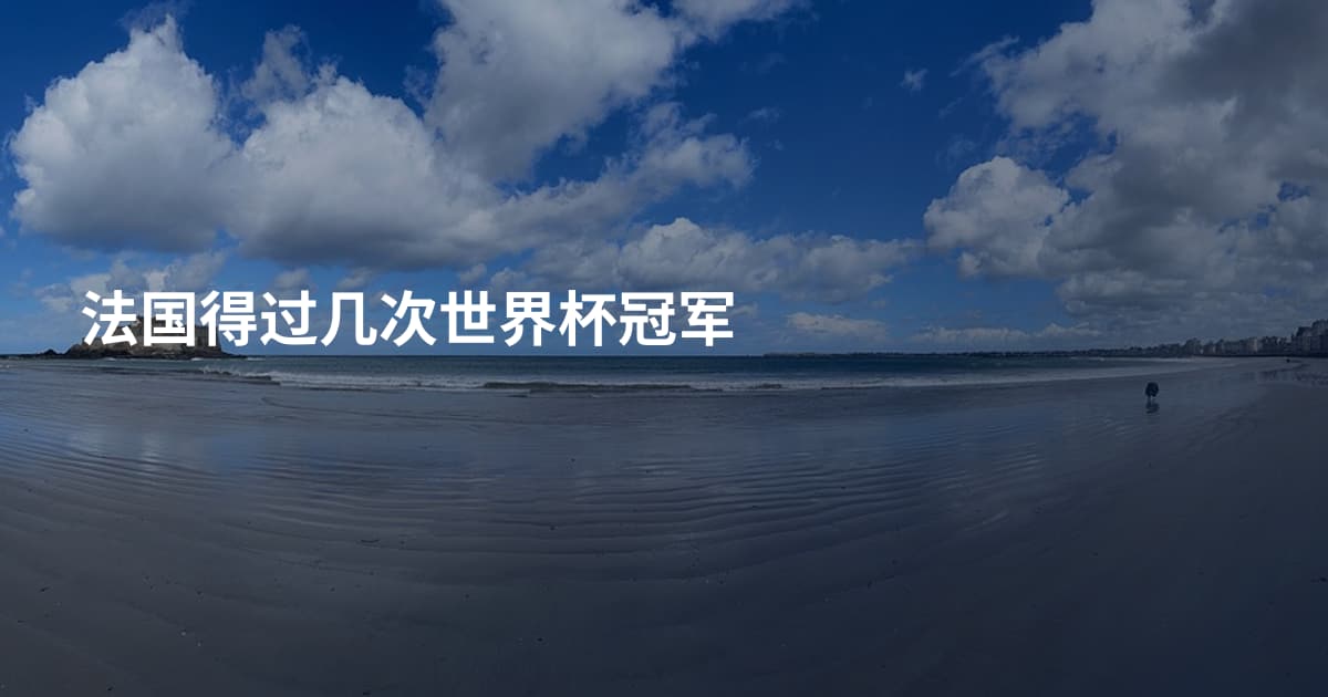 法国得过几次世界杯冠军