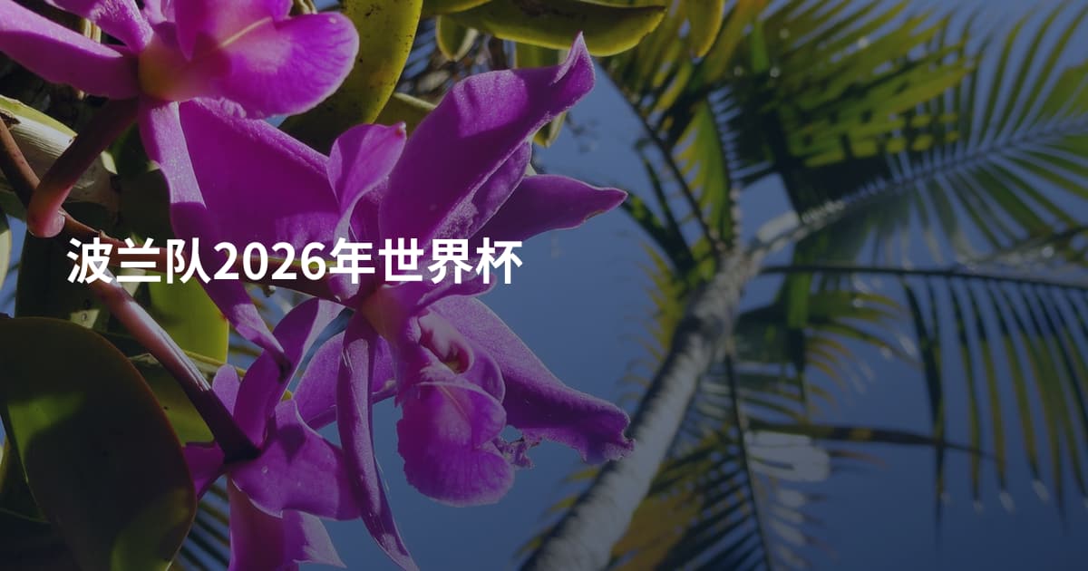 波兰队2026年世界杯
