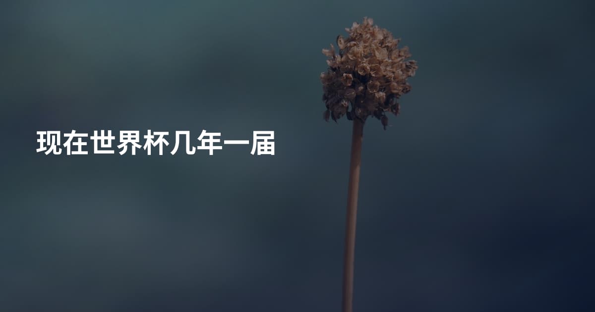 现在世界杯几年一届