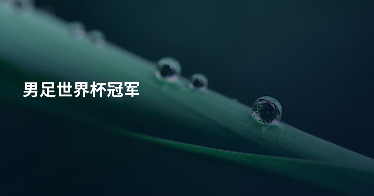 男足世界杯冠军