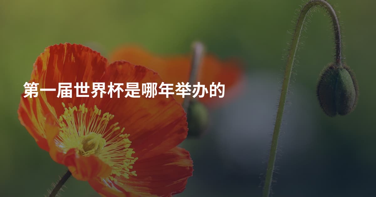第一届世界杯是哪年举办的