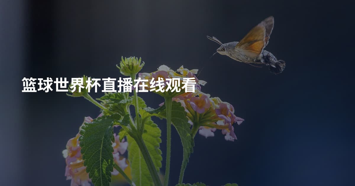 篮球世界杯直播在线观看