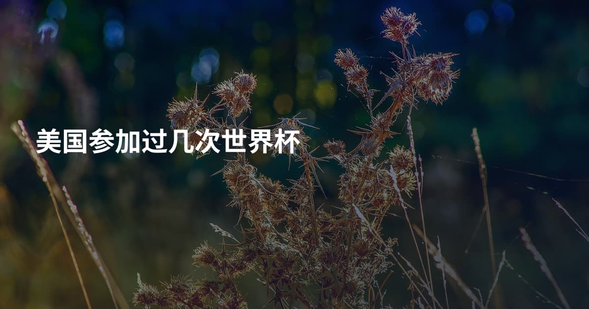 美国参加过几次世界杯