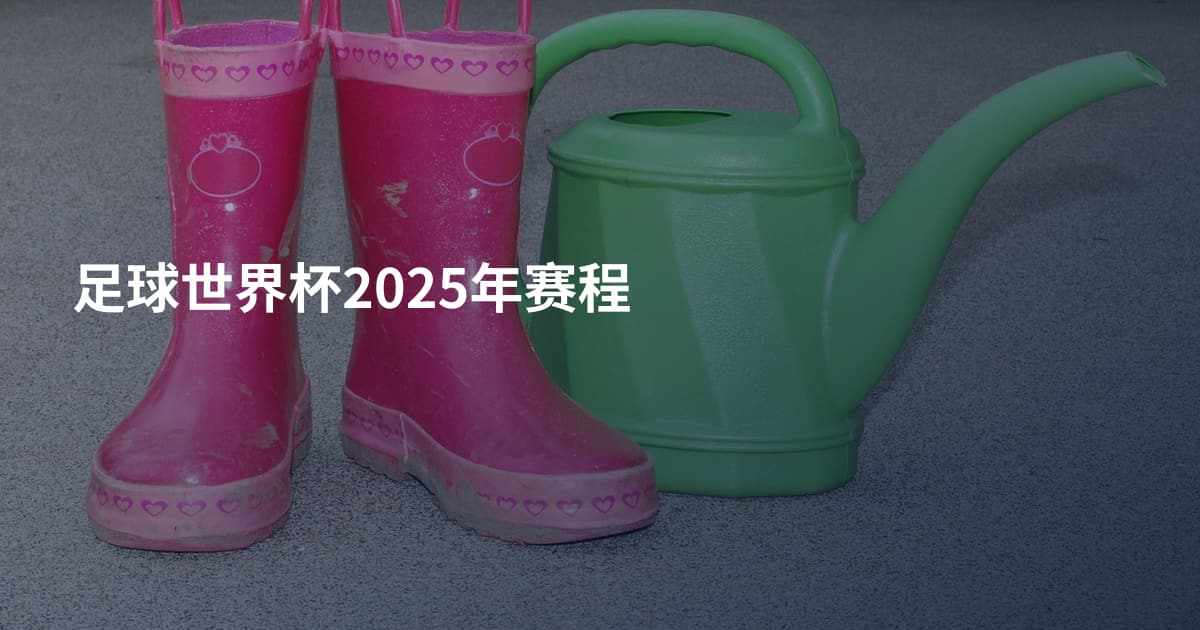 足球世界杯2025年赛程