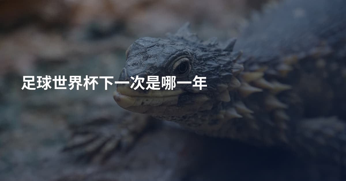 足球世界杯下一次是哪一年
