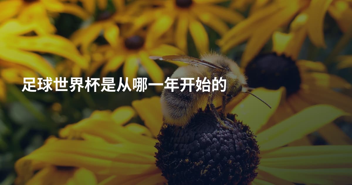 足球世界杯是从哪一年开始的