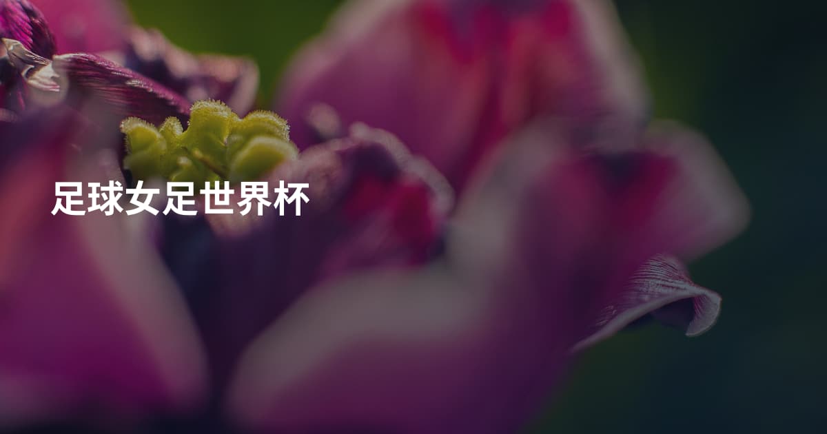 足球女足世界杯