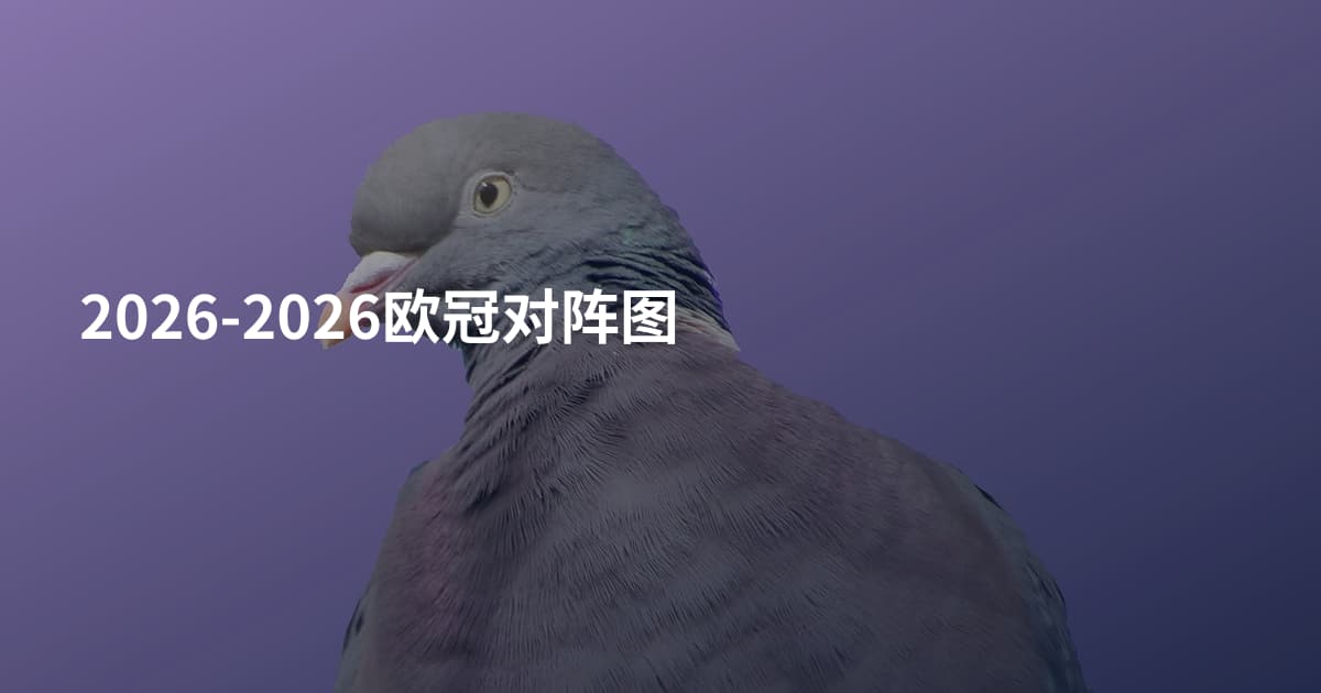 2026-2026欧冠对阵图