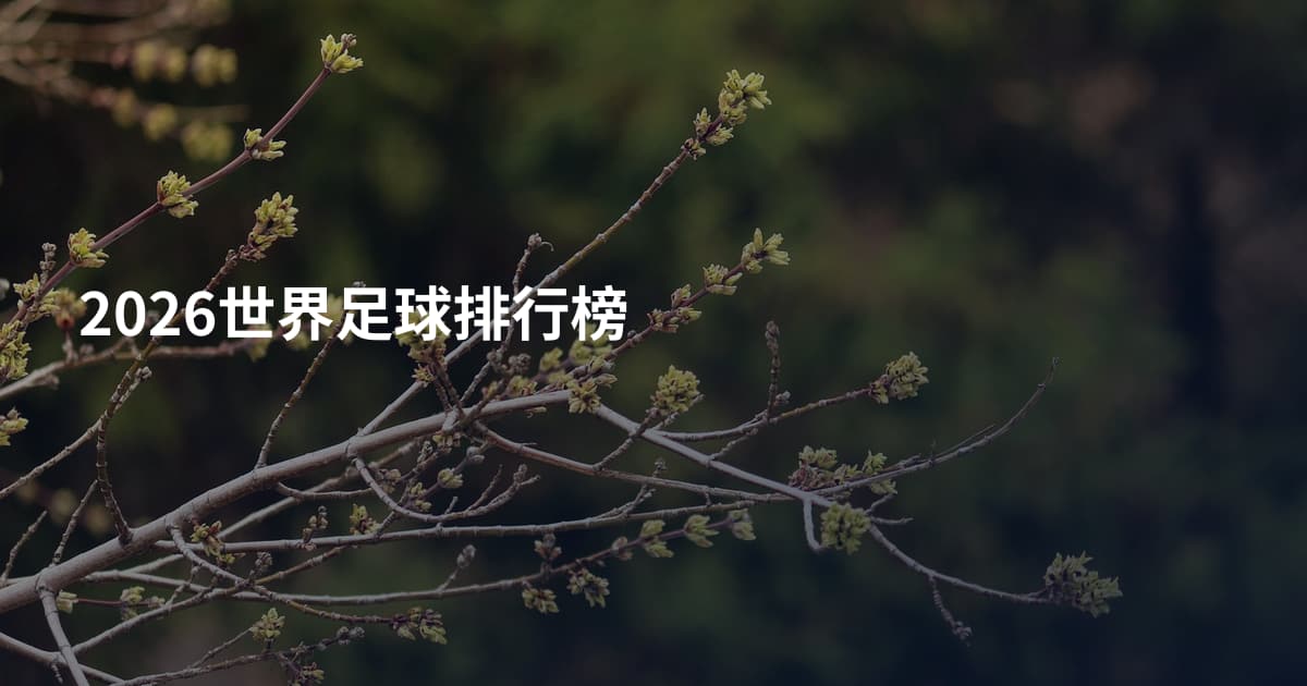 2026世界足球排行榜
