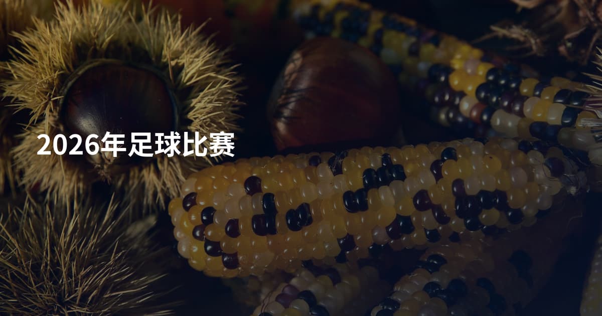 2026年足球比赛
