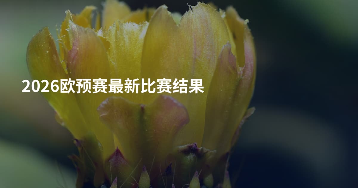 2026欧预赛最新比赛结果