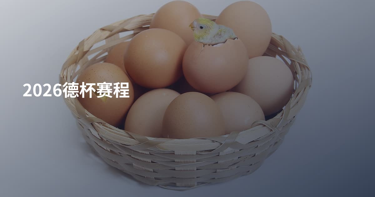 2026德杯赛程