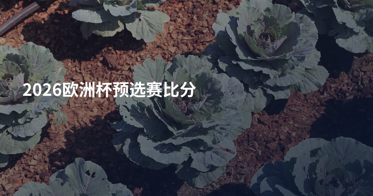 2026欧洲杯预选赛比分