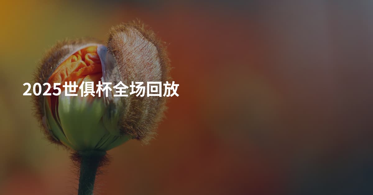 2025世俱杯全场回放