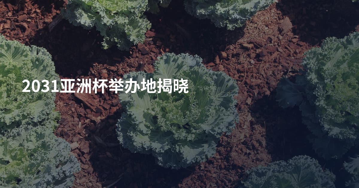 2031亚洲杯举办地揭晓