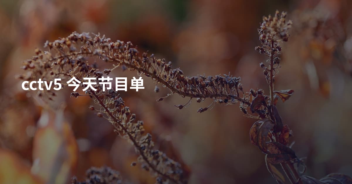 cctv5 今天节目单