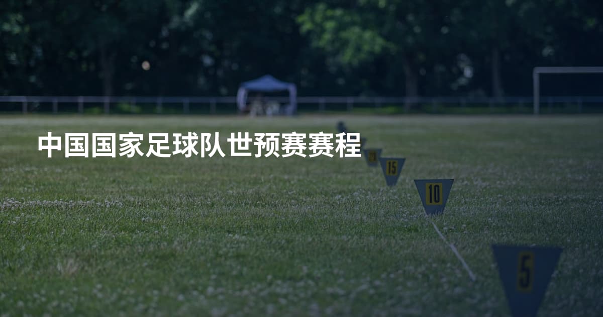 中国国家足球队世预赛赛程