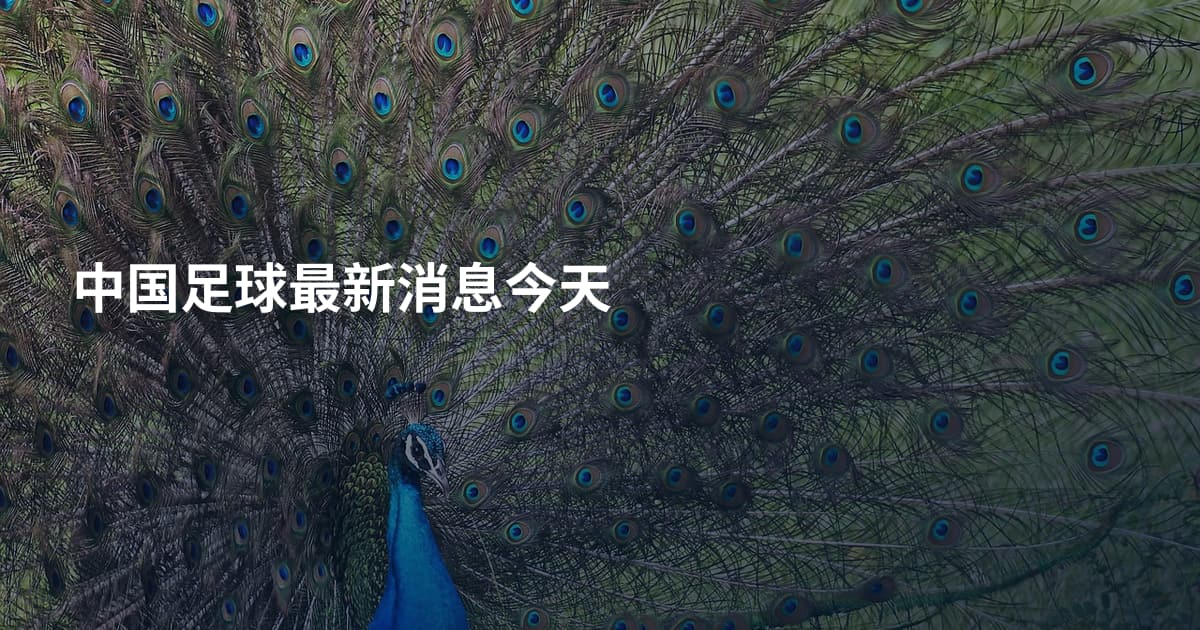 中国足球最新消息今天