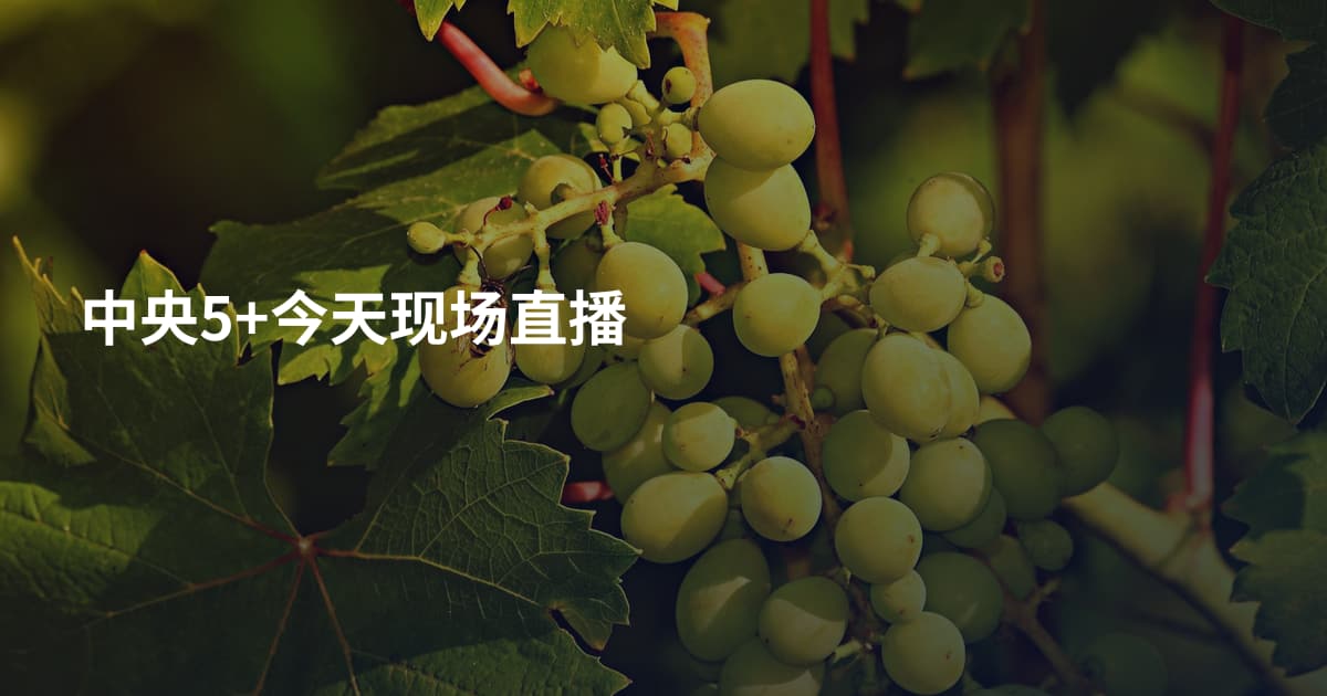 中央5+今天现场直播