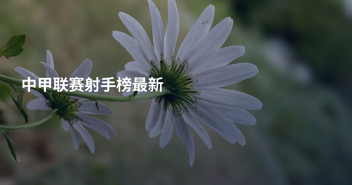 中甲联赛射手榜最新