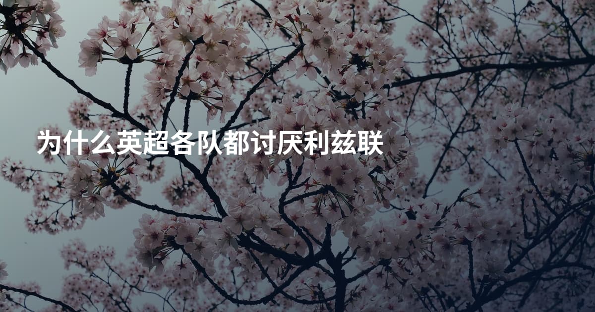 为什么英超各队都讨厌利兹联