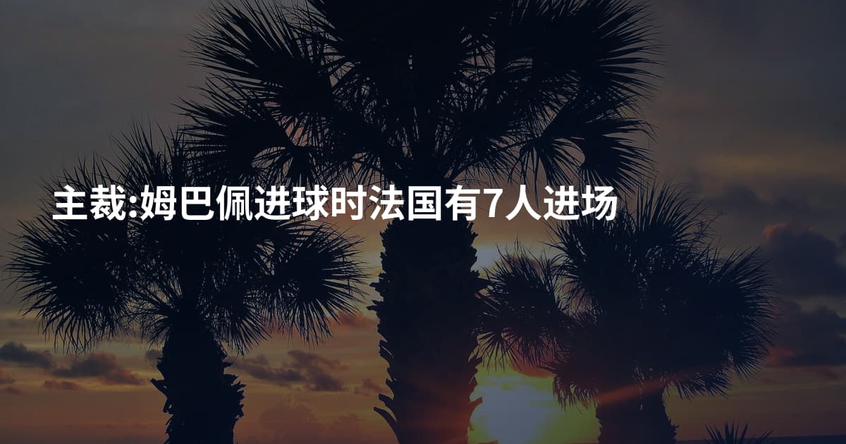 主裁:姆巴佩进球时法国有7人进场