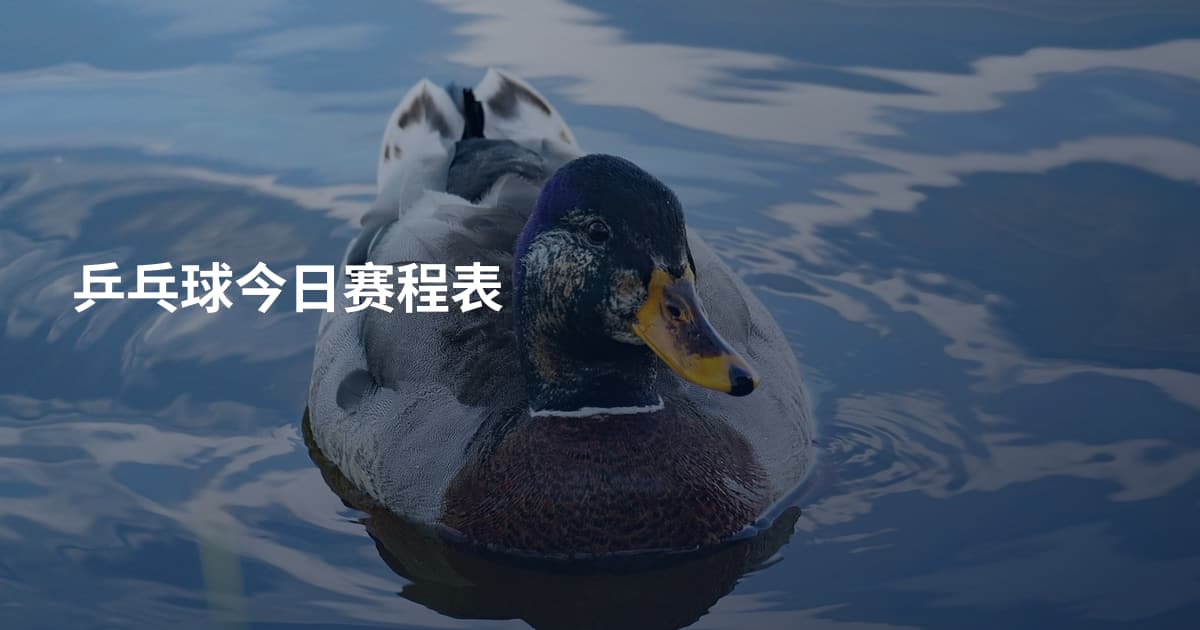 乒乓球今日赛程表