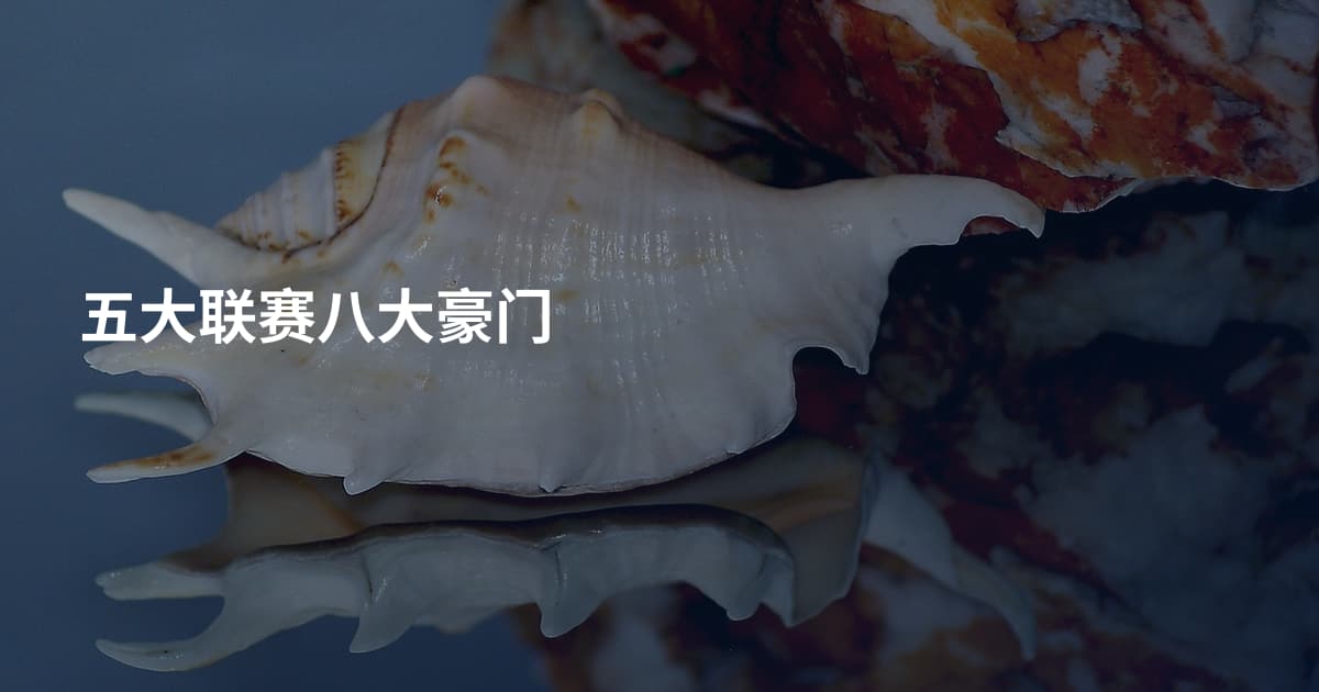 五大联赛八大豪门