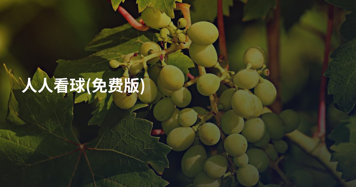 人人看球(免费版)