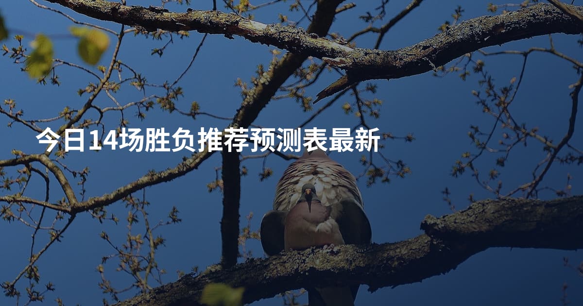 今日14场胜负推荐预测表最新