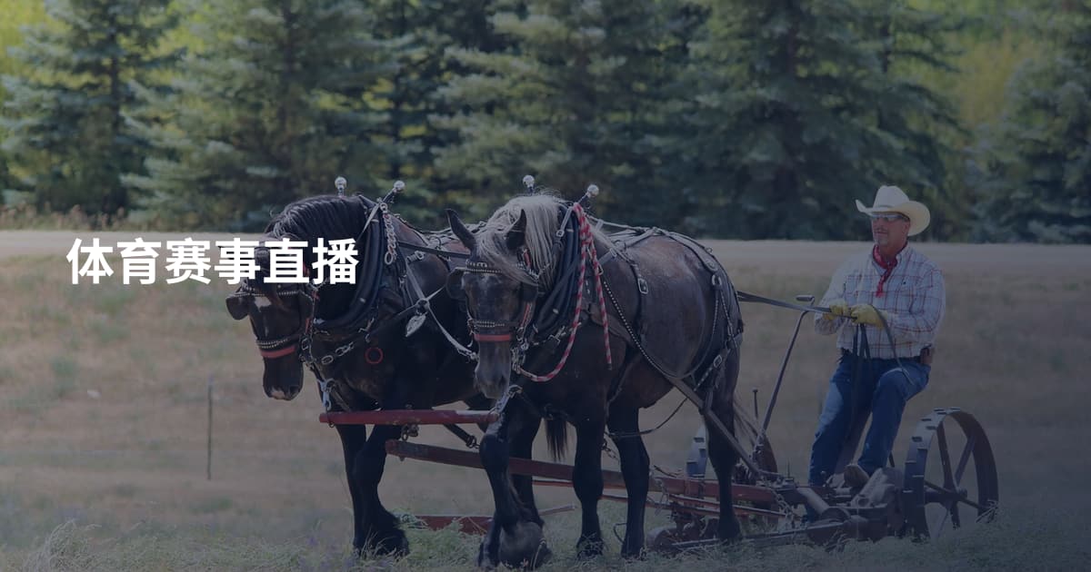 体育赛事直播